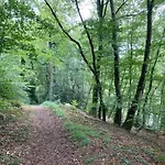 Maison De Leopold - De Groupe - 15 Couchages *