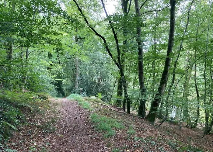 Maison De Leopold - De Groupe - 15 Couchages *